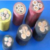 安徽中盛電氣 權(quán)威電線電纜行業(yè)網(wǎng)站的優(yōu)選供應(yīng)商